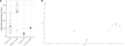 Diversity Profiling of Grapevine Microbial Endosphere and Antagonistic Potential of Endophytic Pseudomonas Against Grapevine Trunk Diseases